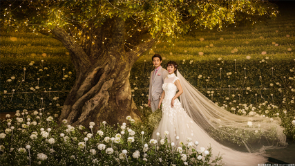 澳洲世紀宮殿內(nèi)景照片-澳洲世紀宮殿內(nèi)景圖片-澳洲世紀宮殿內(nèi)景