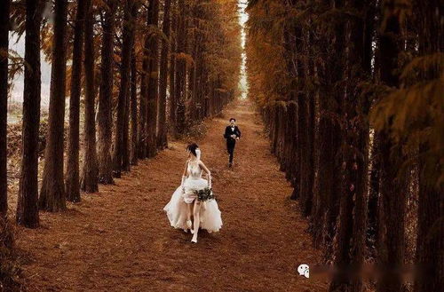 薇薇新娘婚紗攝影祝你 三八女神節快樂